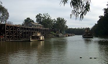 Echuca docks Stevage.jpg