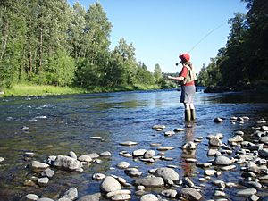 Fly fishing on the South Santiam.jpg