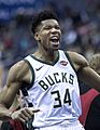 Giannis Antetokounmpo (24845003687) (cropped)