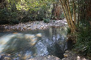 Glencoe Creek Marowin Brook