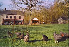 Gwalia Stores and Photographer's Shop, St Fagans. - geograph.org.uk - 138568