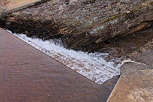 Harris Pond Dam