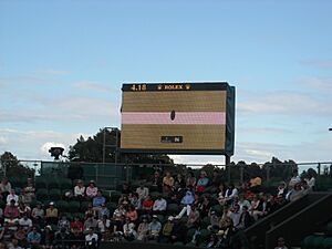 Hawk-Eye at Wimbledon (7508887344)