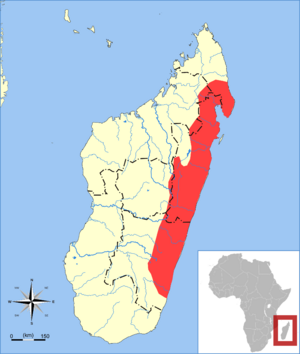 Hemicentetes semispinosus range map.svg