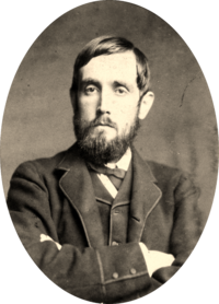 John Dillon, 1880s