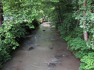 Kellys Creek WV.jpg