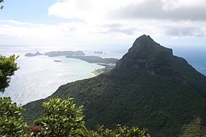 LordHoweIsland MtGower 346