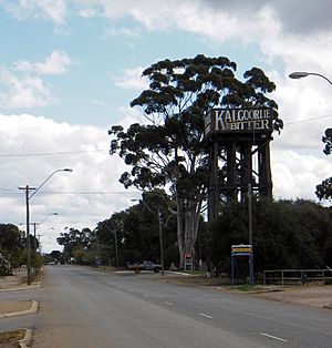 Merredin tower SMC