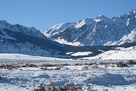 Mono Pass winter from east.jpg