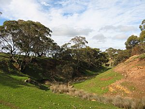 Narcoota Creek, looking east