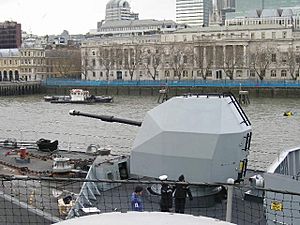 Northumberland Naval Gun