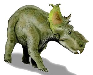 Pachyrhinosaurus BW