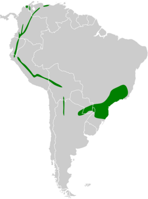 Parabuteo leucorrhous map.svg