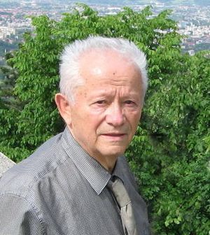 Rade Mihaljčić.jpg