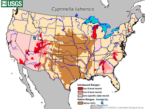 Red shiner US distribution map