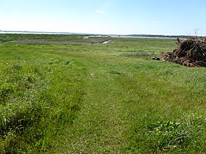 Round Hill Pit, Aldeburgh 1.jpg