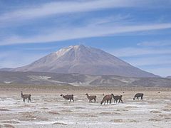 Salar Uyuni au02