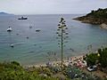 Spiaggia delle cannelle