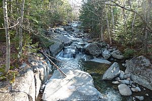 Stream near Phelps