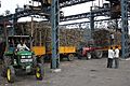 Sugarcane weighing at sugarmill