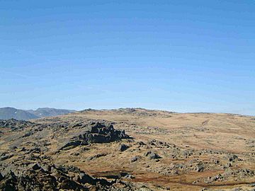 THUNACAR KNOTT FROM PAVEY ARK (2).JPG