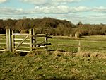 Tilty Abbey remains, Essex - geograph.org.uk - 130542.jpg