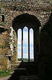 Timoleague Friary Window