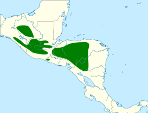 Troglodytes rufociliatus map.svg