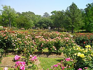 Tyler Rose Garden