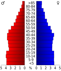 USA Angelina County, Texas age pyramid