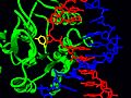 Uracil base glycosidase