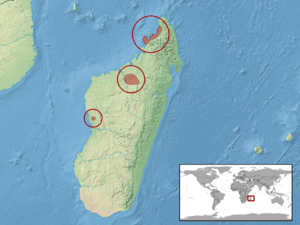 Uroplatus henkeli distribution.png