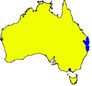 Angophora woodsiana DistMap.png