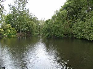 Badger - mill pool