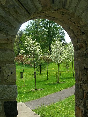 Bathhouse Arch.JPG