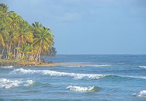 Beach in Luquillo, Puerto Rico