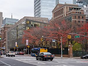 Bellevue Hospital - NYC (51709396411)