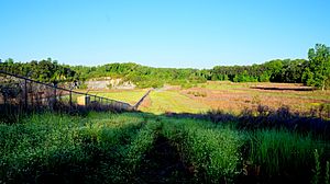 Bellwood Quarry Border