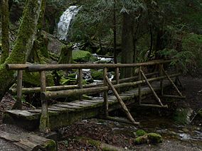 Coal Creek Falls 04067.JPG