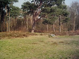 Croham Hurst Round Barrow (Marker Stone)