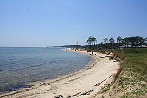 Dauphin Island 06May2010 01