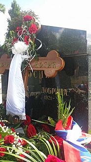 Dobrica Ćosić grave