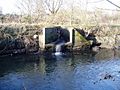 Drain outflow into the River Brent - geograph.org.uk - 1066791