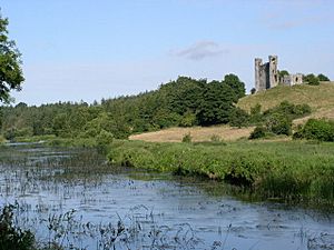 Dunmoe Castle - geograph.org.uk - 290230