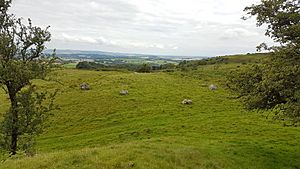 Easthill stone circle 05.jpg