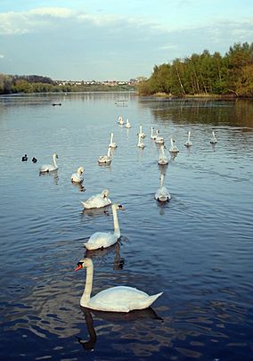 Fairburn Ings.jpg