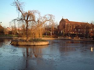 Frozen pond, Feltham Green - geograph.org.uk - 96599