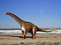 Hypselosaurus NT small.jpg