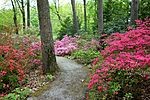 Jenkins Arboretum - DSC00569.JPG