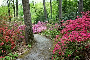 Jenkins Arboretum - DSC00569